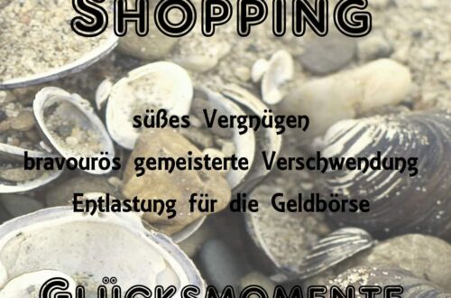 Rückblick aus Petras Tagebuch - Man müllt sich langsam zu 5 shopping