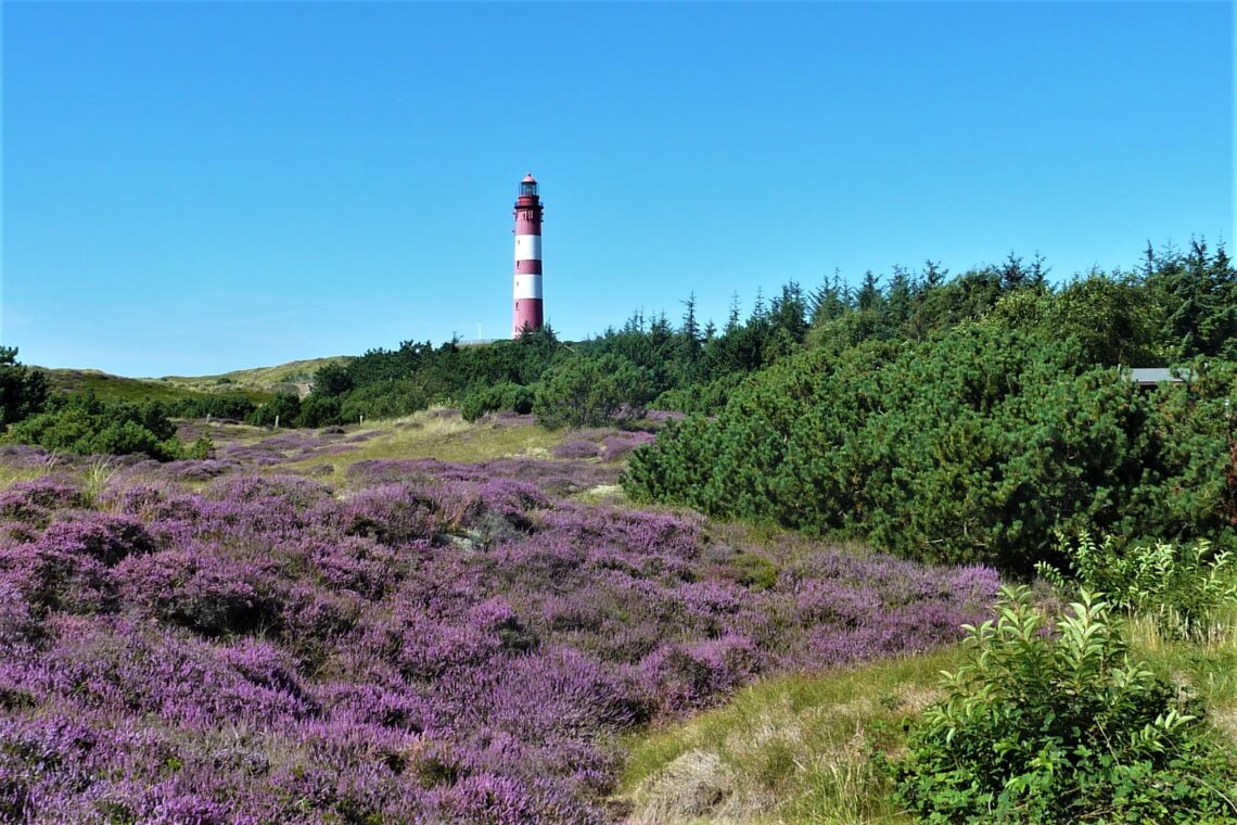Rückblick aus Petras Tagebuch: verfasst 12.08.2012 - Glückstagebuch 5. Eintrag 1 Heide Leuchtturm