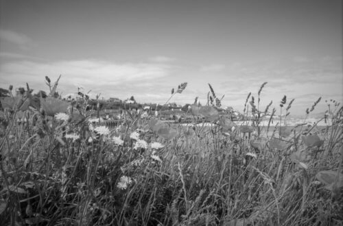 Alles grau