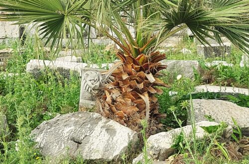 Türkei - Milet 36 Loewe und Palme Milet 040522