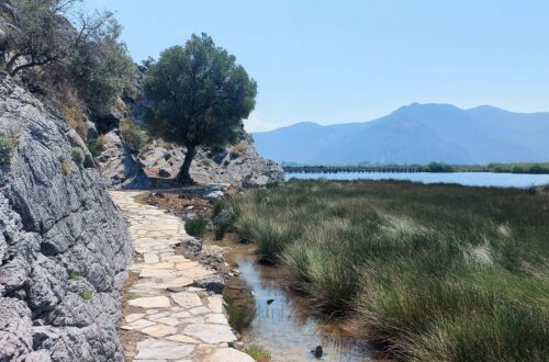 Dalyan 3 150622