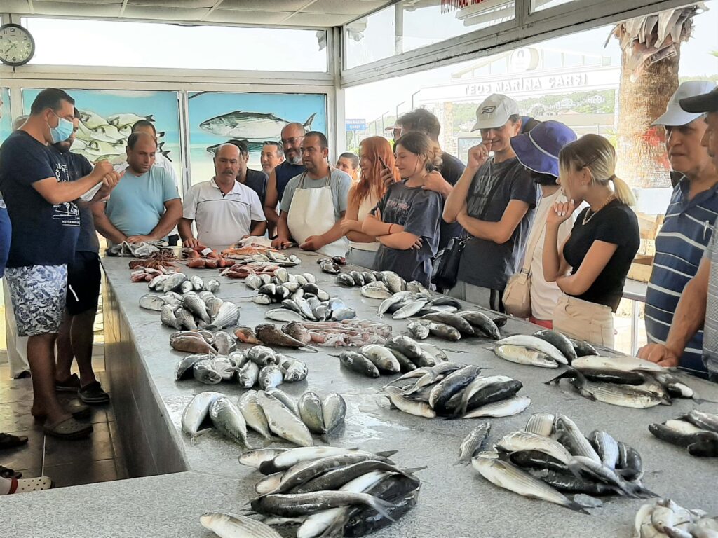 7. Reise - Segelrevier Türkei - Sigarcik bis Cesme - 21.08. - 25.08.2022 4 Sigarcik 2 180822 1