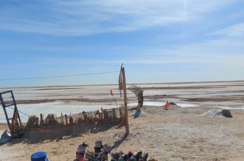 Chott el Jerid 5