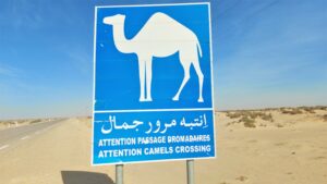 Tunesien - eine Rundreise mit dem Mietwagen - November 2022 - 4. Etappe: Grenzgebiet Algerien - Tamerza und die Schlucht von Mides