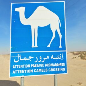 BLOG Weltumsegelung 319 Tunesien - eine Rundreise mit dem Mietwagen - November 2022 - 4. Etappe: Grenzgebiet Algerien - Tamerza und die Schlucht von Mides