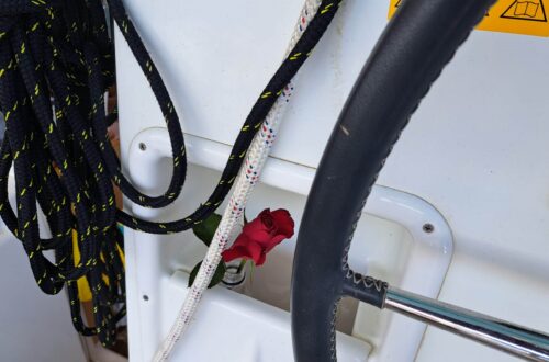 12. Reise - Überführungstörn - von Tunesien nach Marokko - 2. Etappe - von Bizerte (Tunesien) rund um Algerien in die Spanische Exklave Melilla. 15 20230504 125820 scaled