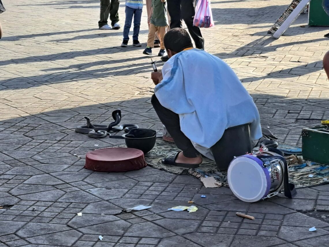 Marokko: Die 4 Königsstädte: Marrakesch - die Berühmte 1 Beitragsbild 2 scaled