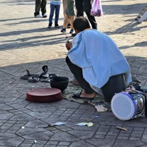 BLOG Weltumsegelung 260 Marokko: Die 4 Königsstädte: Marrakesch - die Berühmte