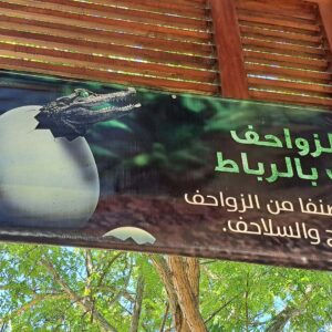 BLOG Weltumsegelung 265 Marokko: Ene Besuch im Zoo...