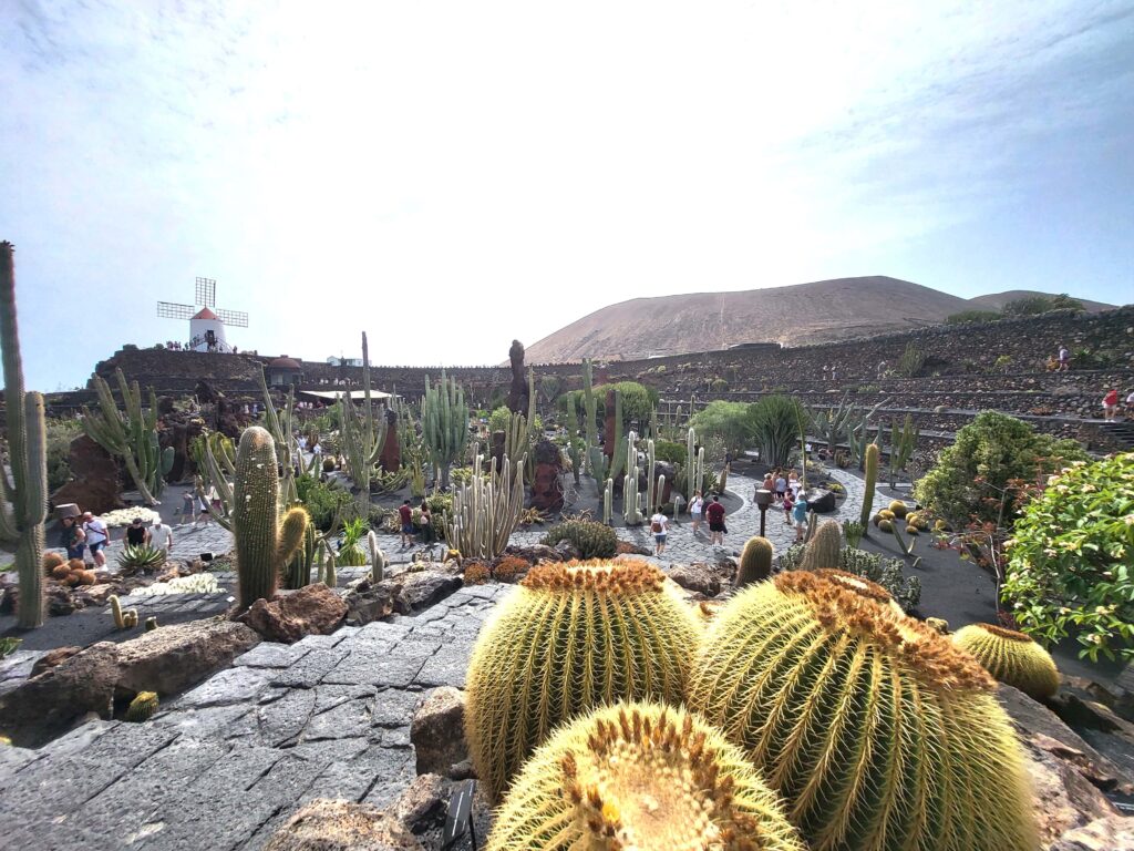 Kaktusgarten Cesar Manrique