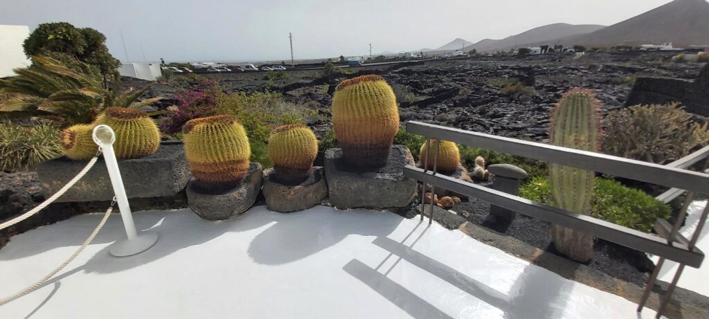 Kaktusterrasse