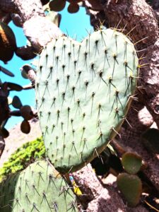 Landausflug durch den Norden von der Kanareninsel Gran Canaria