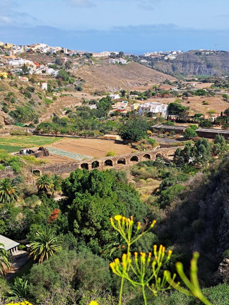 Landausflug durch den Norden von der Kanareninsel Gran Canaria 22 Jardin de Botanico