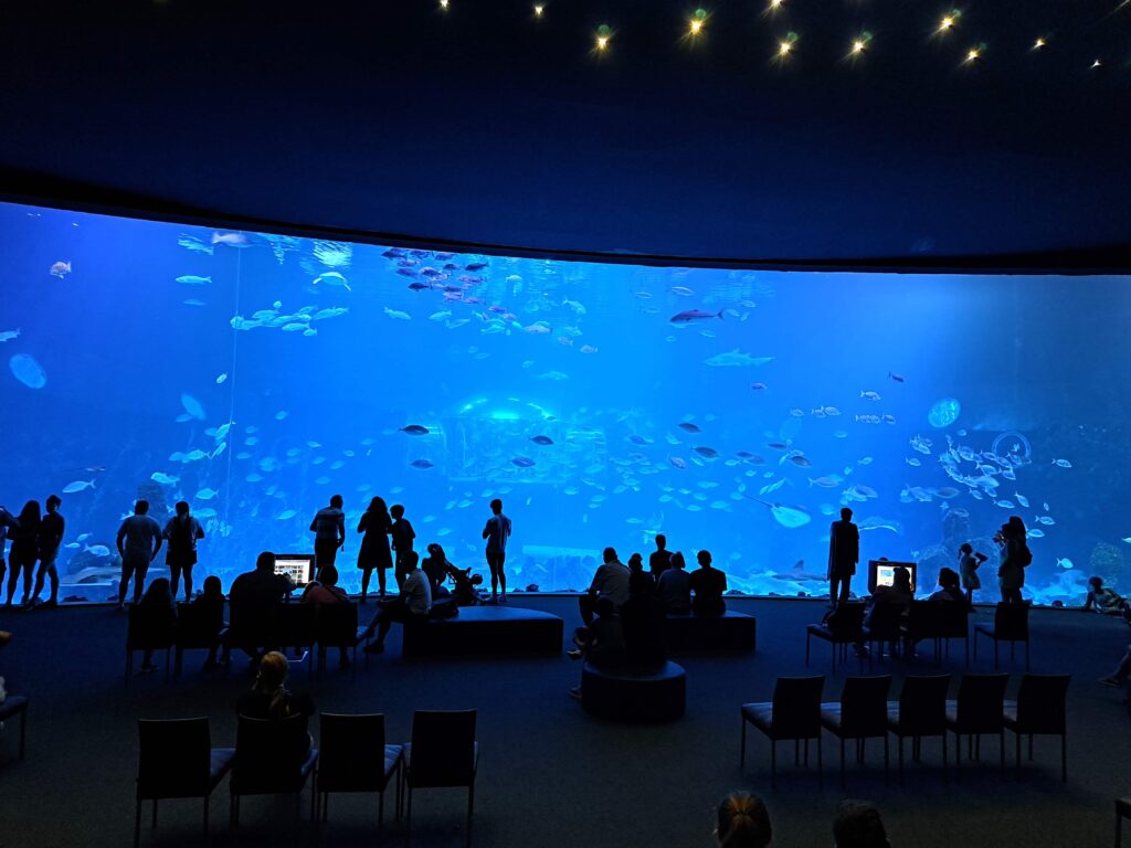Poeme del Mar Aquarium 19 Seeaquarium Panorame