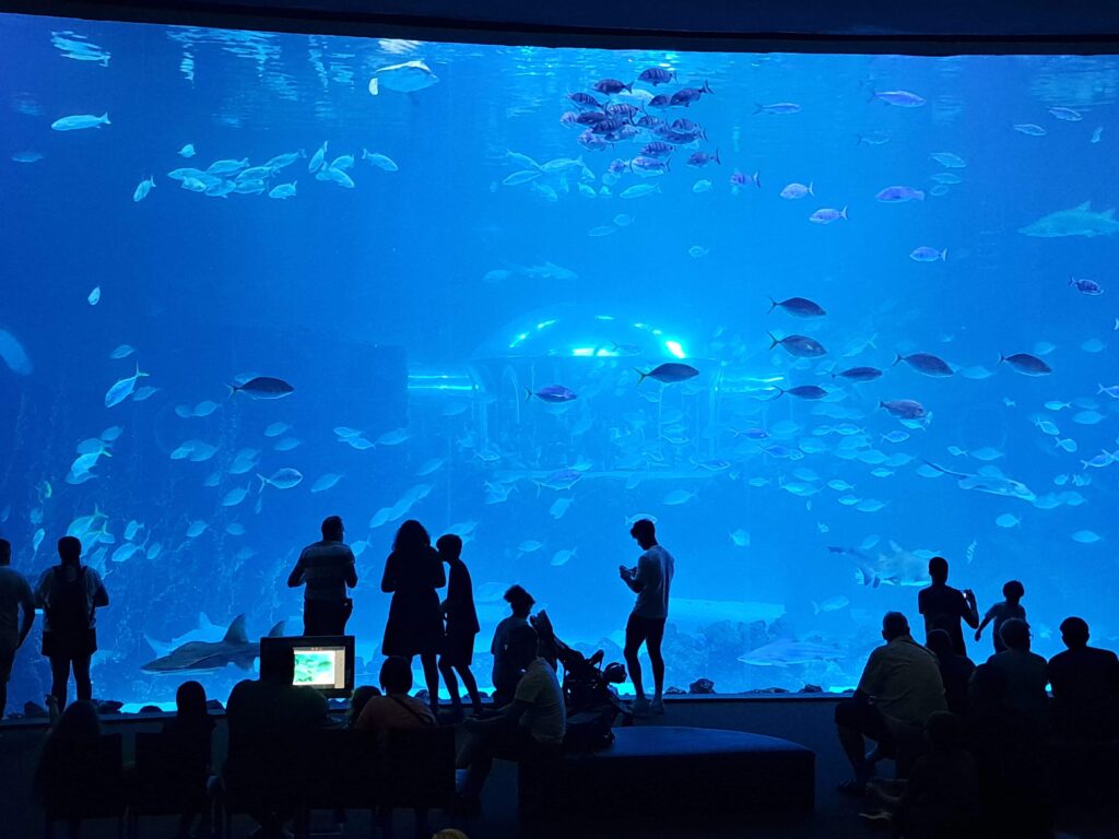 Poeme del Mar Aquarium 21 Seeaquarium nah