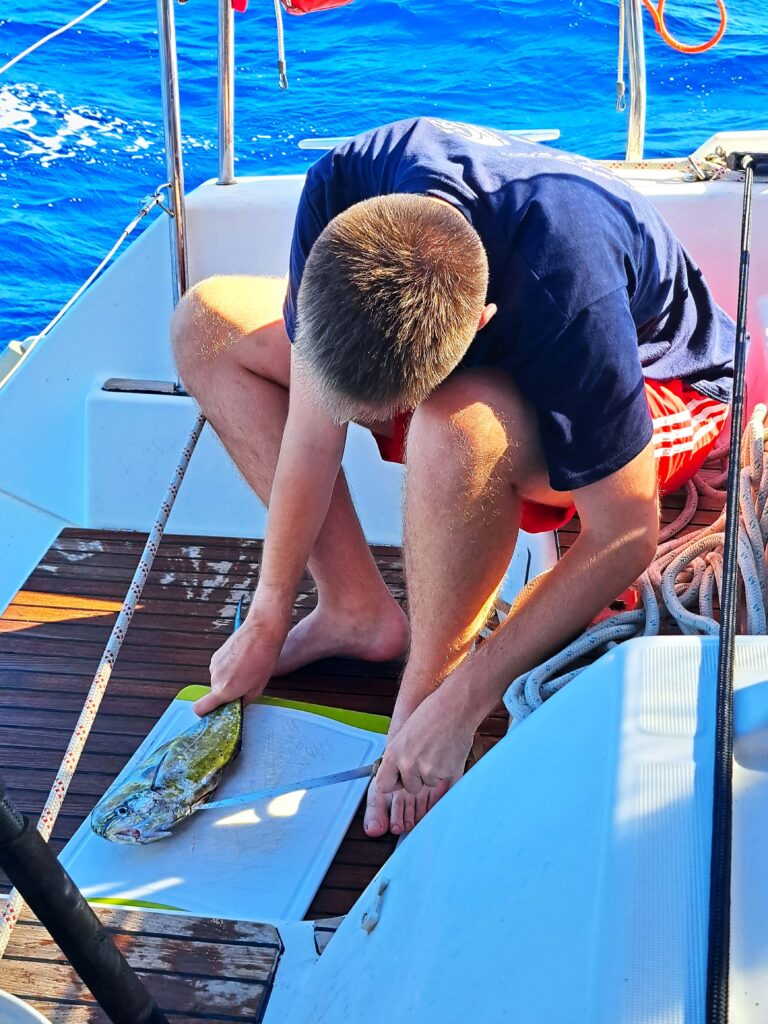 ARC 2023 Tagebuch - Tag 24 - 11. Tag auf See 5 Fisch wird ausgenommen