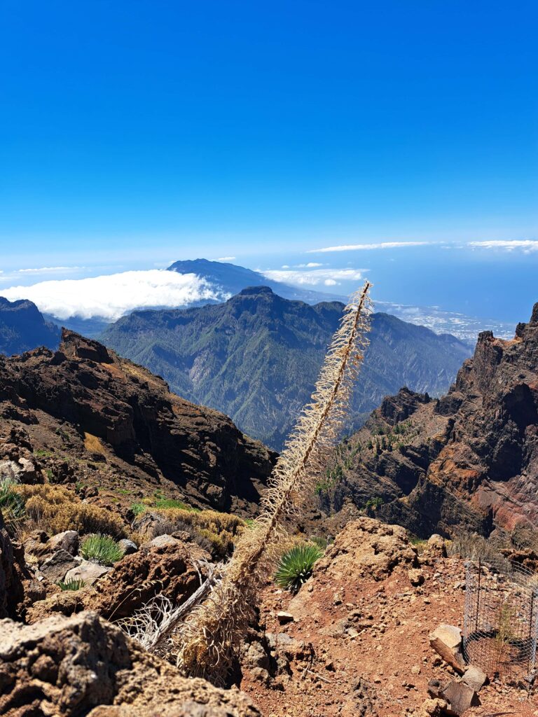 Kanareninsel La Palma - Roque de Los Muchachos - Vom Meer hinauf bis über die Wolken... eine Fotodokumentation 8 Blick ueber die Gipfel