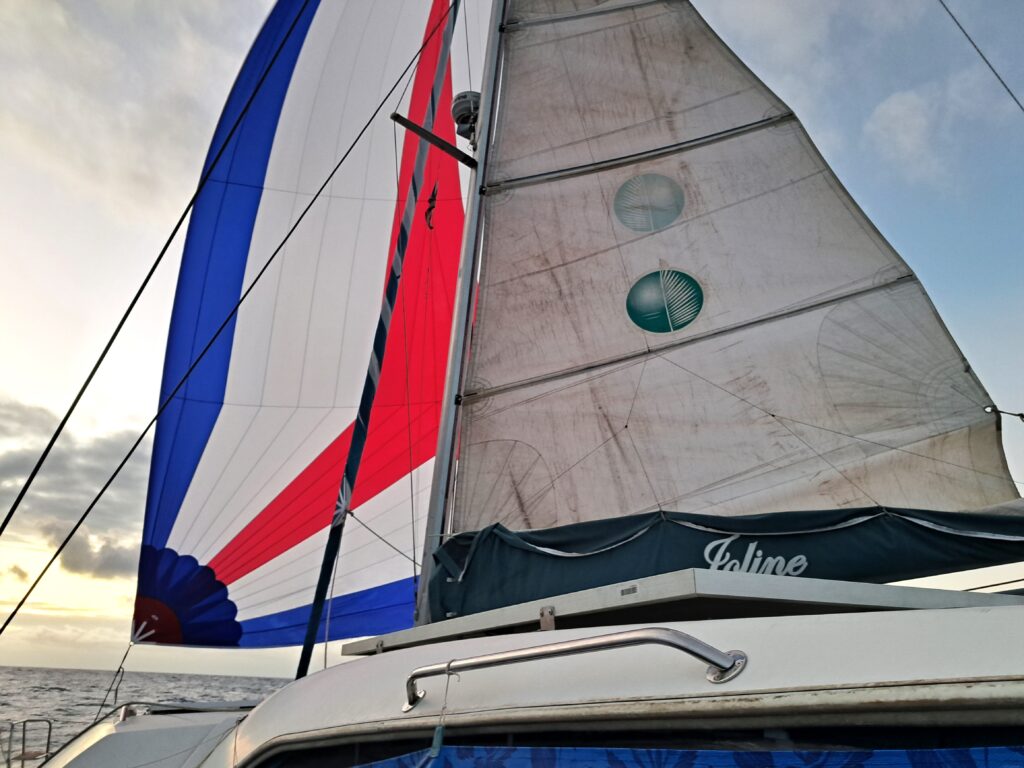 ARC 2023 Tagebuch - Tag 27 - 14. Tag auf See 7 Mit Gross und Spinnacker geht es zuegig voran