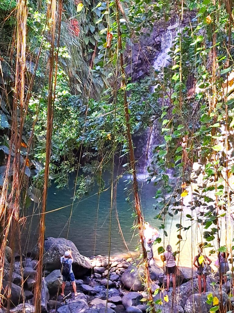 Karibikinsel Grenada - Affen, Wasserfälle und ein Tässchen Kakao 9 Annadale Wasserfall