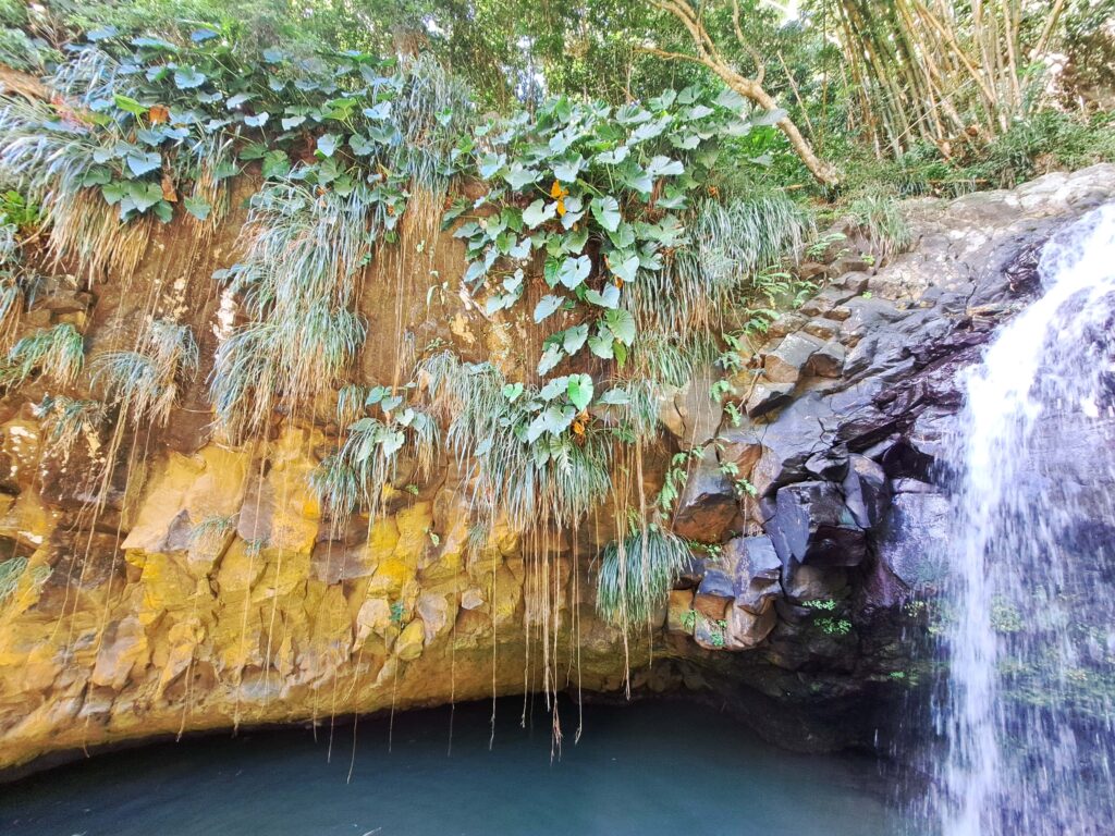 Karibikinsel Grenada - Affen, Wasserfälle und ein Tässchen Kakao 10 Annadale Wasserfall Nahansicht