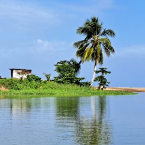 BLOG Weltumsegelung 173 Karibikinsel St Lucia - Marigot Bay und der Mangrovenwald des Roseau Fluss