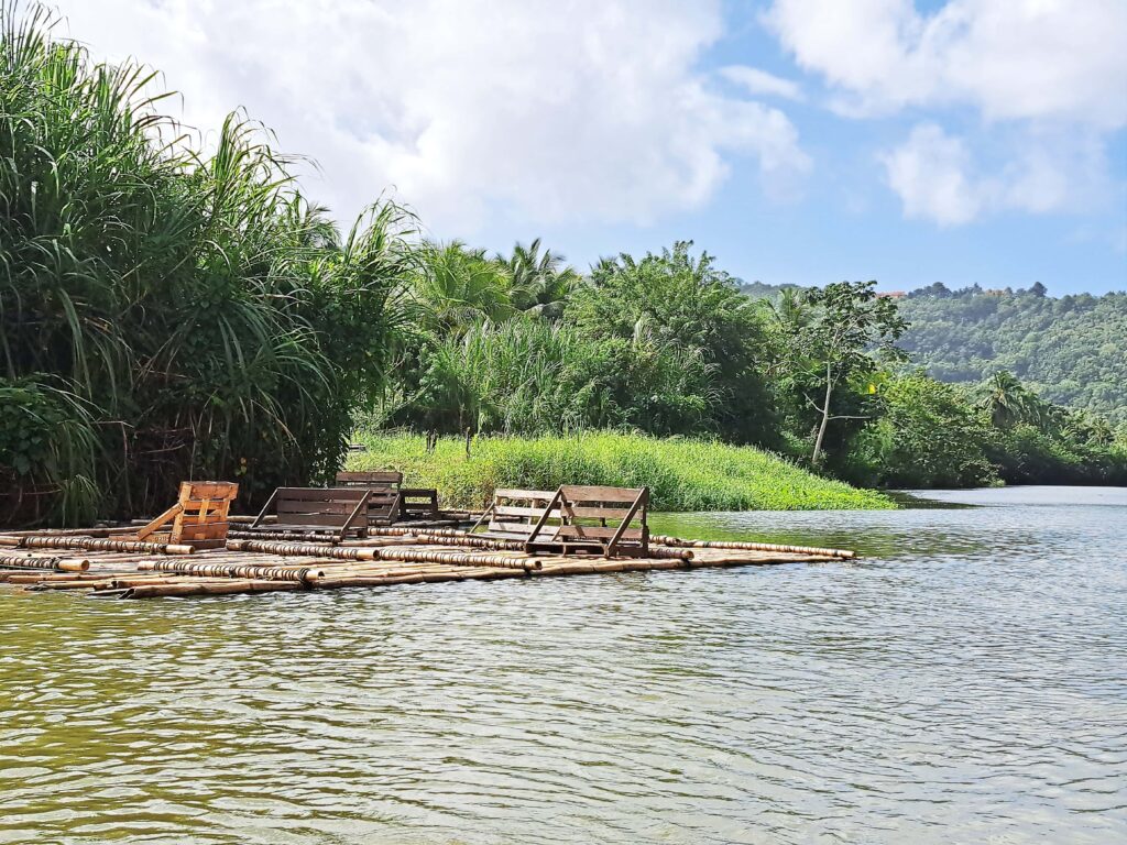 Karibikinsel St Lucia - Marigot Bay und der Mangrovenwald des Roseau Fluss 16 Floesse