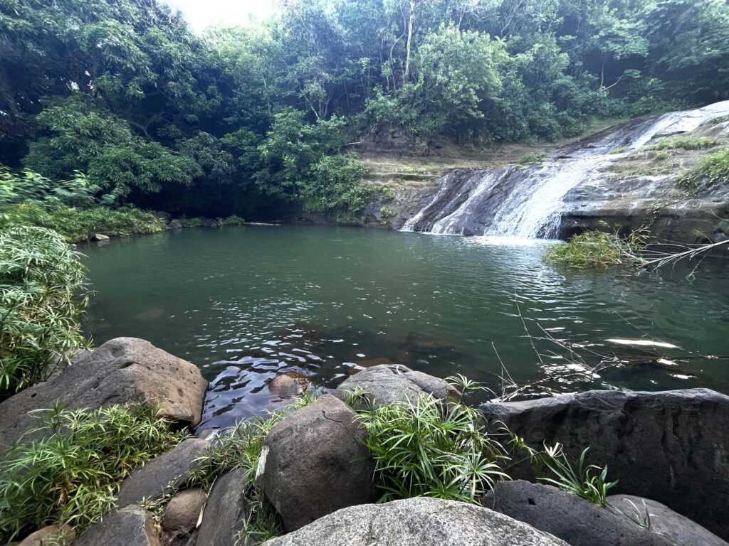 Karibikinsel Grenada - Affen, Wasserfälle und ein Tässchen Kakao 17 Fluss Mt. Carmel 1