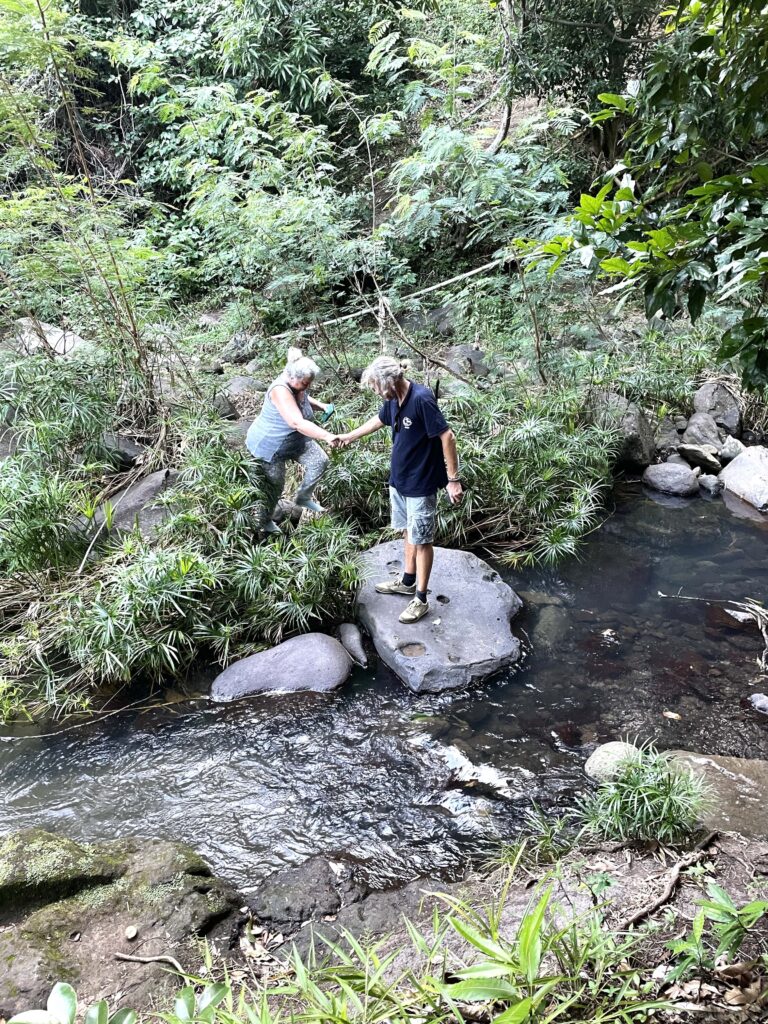 Karibikinsel Grenada - Affen, Wasserfälle und ein Tässchen Kakao 15 Flussueberquerung
