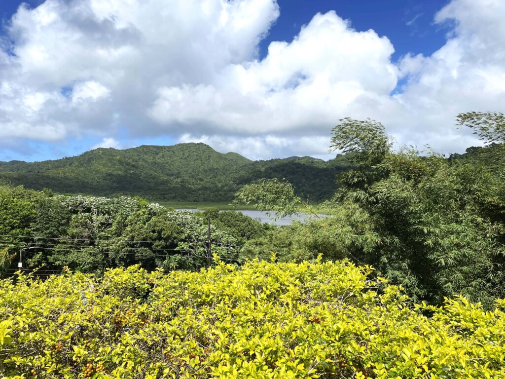 Karibikinsel Grenada - Affen, Wasserfälle und ein Tässchen Kakao 12 Grand Etang Lac