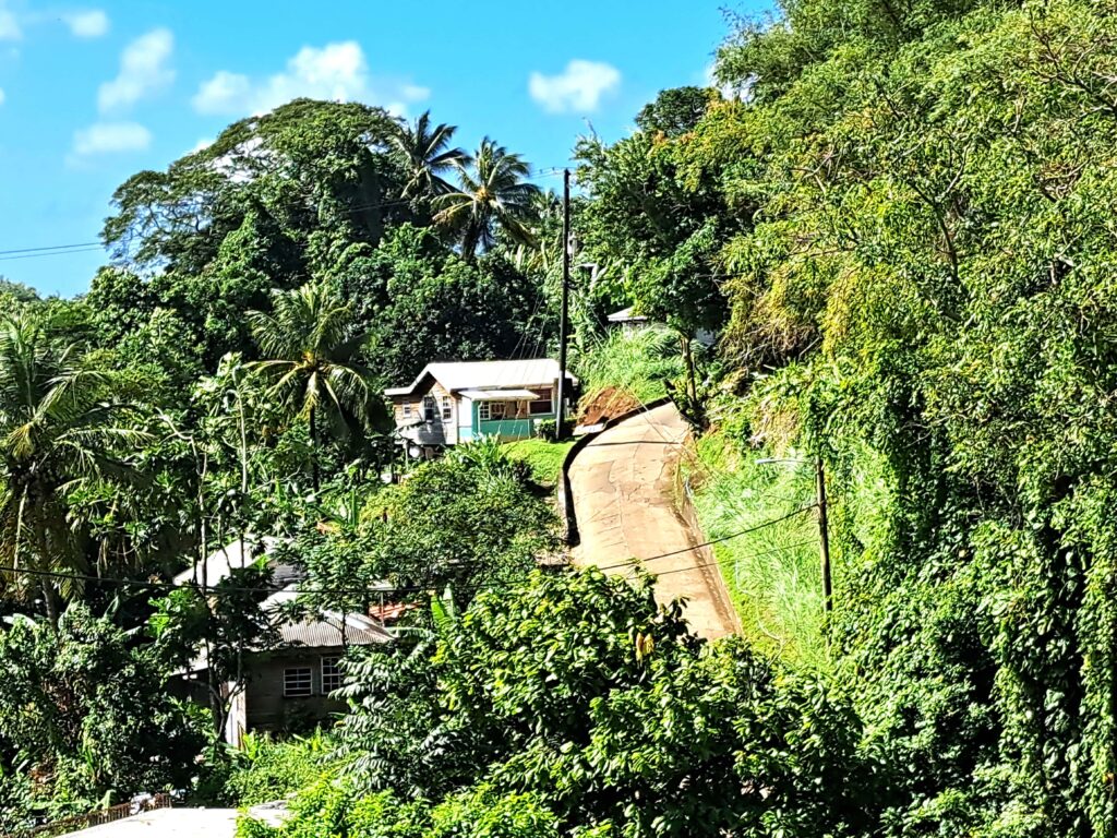 Karibikinsel Grenada - Affen, Wasserfälle und ein Tässchen Kakao 2 Grenada Vegatation Strassen