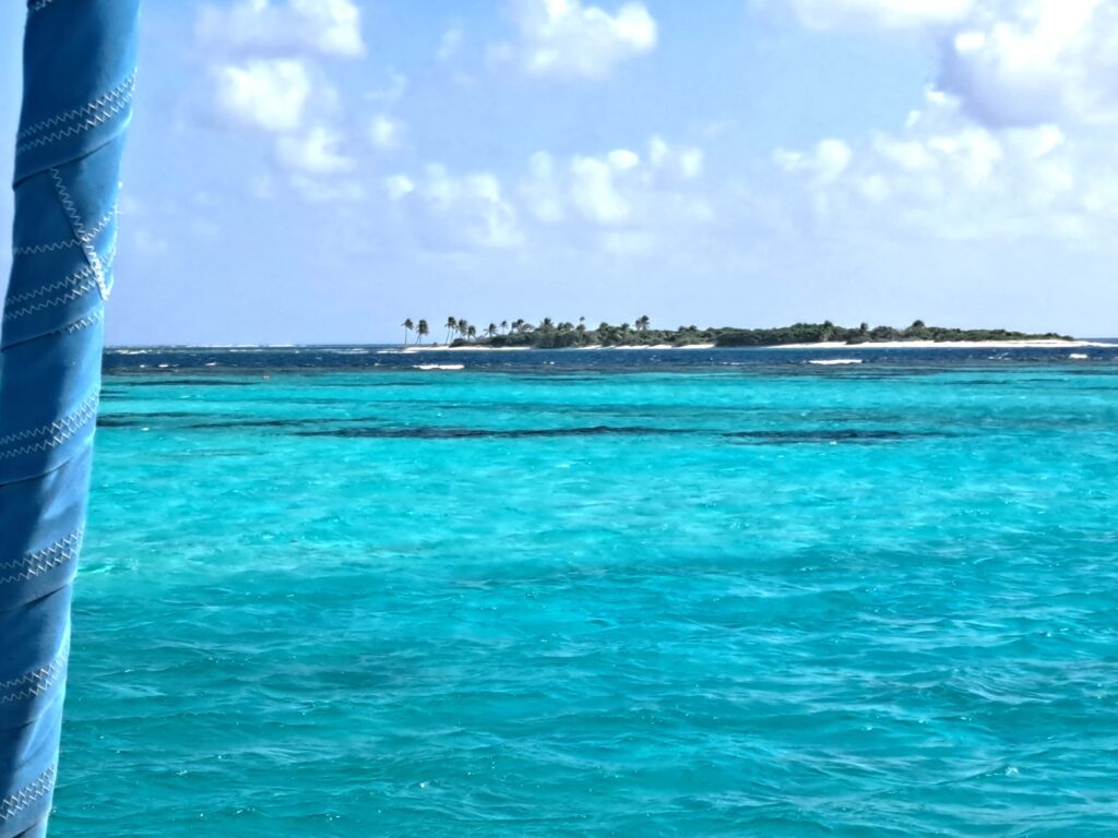 Karibikinseln St. Vincent und die Grenadinen - Die Tobago Cays - eine Unterwasserwelt mit der Aktioncam beobachtet 2 Tobago Casy Joline