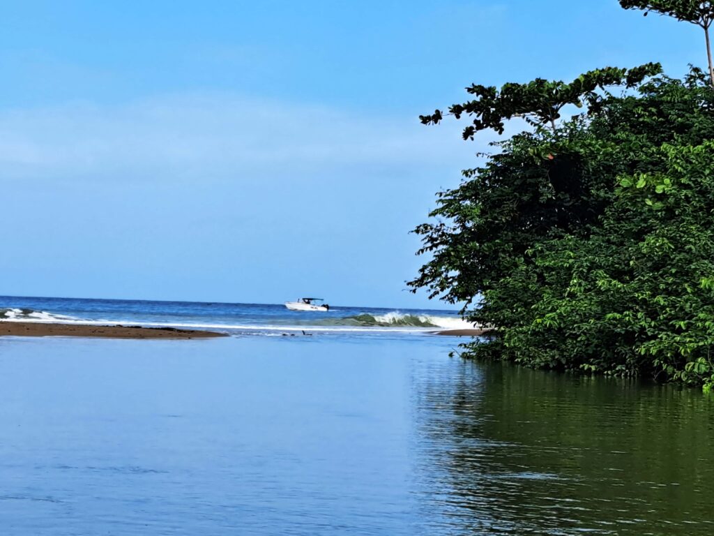 Karibikinsel St Lucia - Marigot Bay und der Mangrovenwald des Roseau Fluss 13 auf dem Fluss Blick zurueck zum Meer