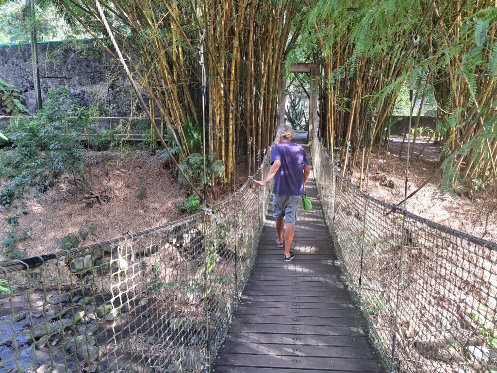 Martinique - der Zoo in der alten Rumdistillerie 11 11 Haengebruecke