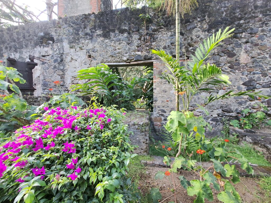 Martinique - der Zoo in der alten Rumdistillerie 14 14 Lore