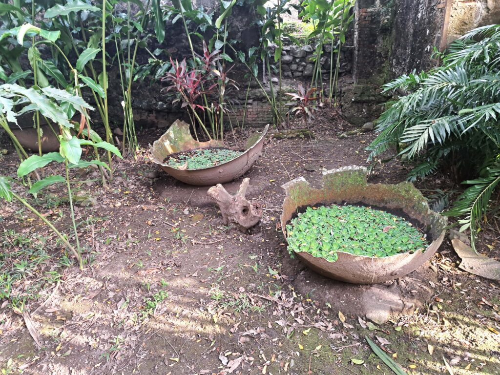 Martinique - der Zoo in der alten Rumdistillerie 16 16 Zuckerrohrkessel