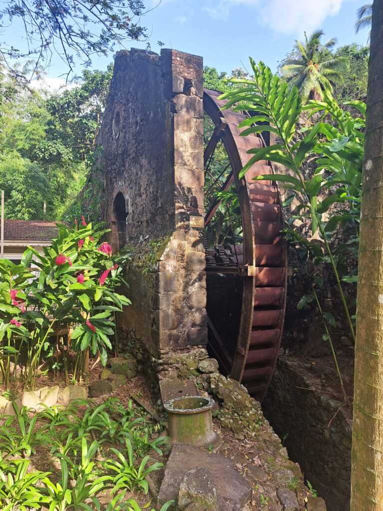 Martinique - der Zoo in der alten Rumdistillerie 20 17 Altes Wasserrad