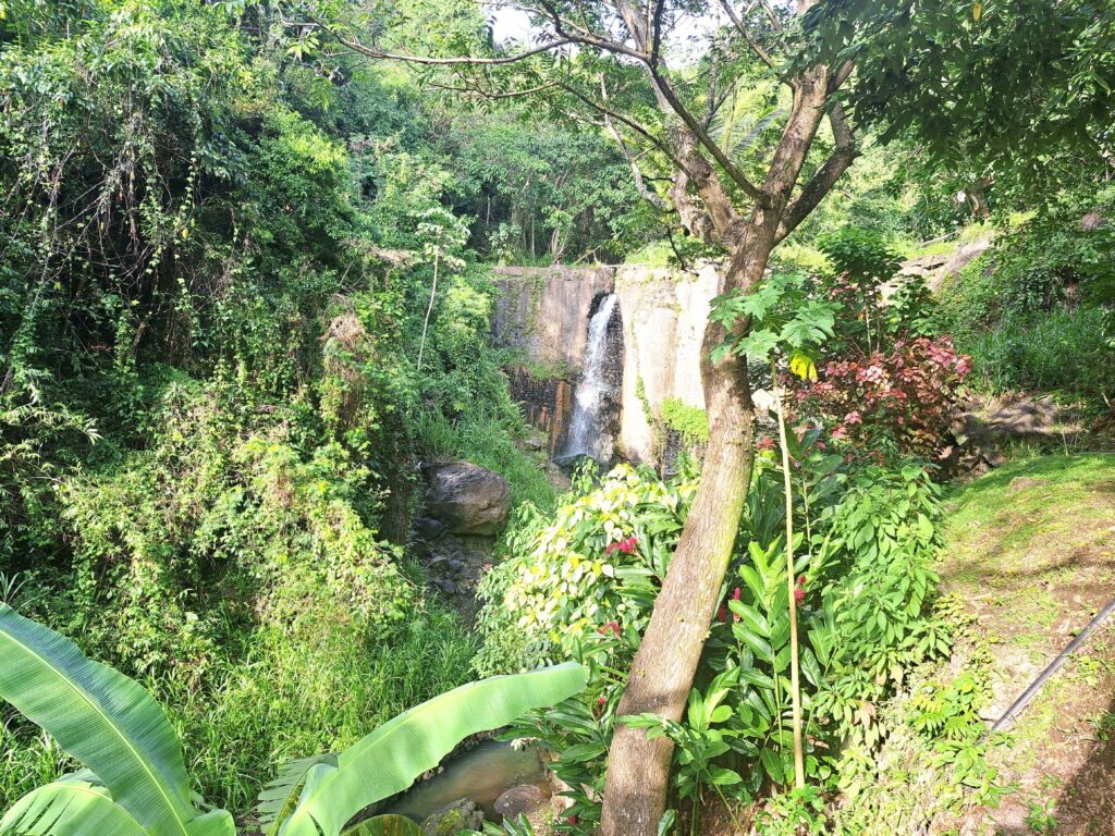 Martinique - der Zoo in der alten Rumdistillerie 18 19 Wasserfall