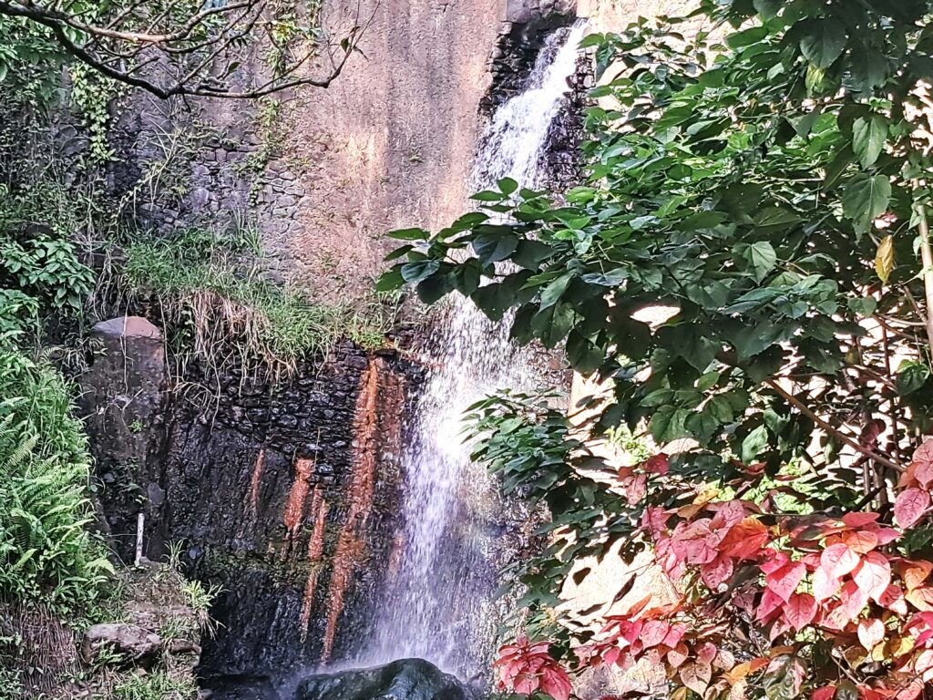 Martinique - der Zoo in der alten Rumdistillerie 19 20 Wasserfall Nahansicht