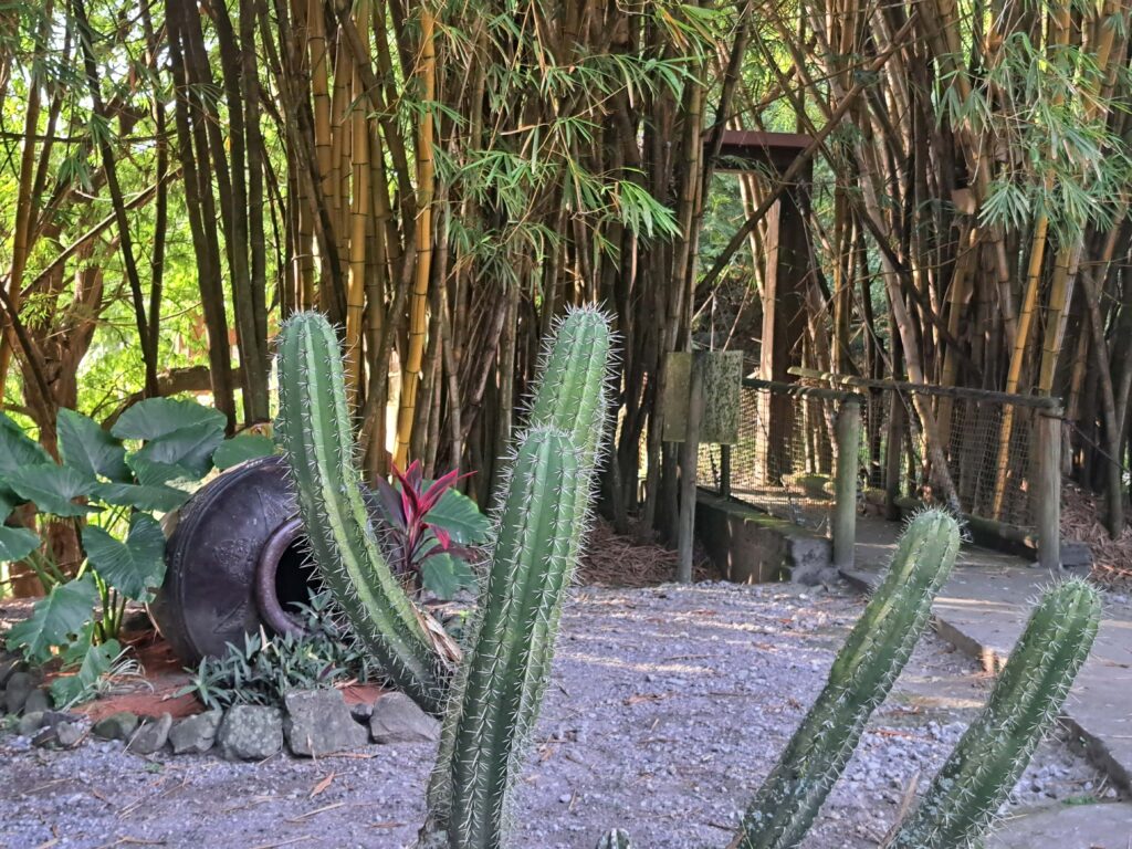 Martinique - der Zoo in der alten Rumdistillerie 25 23 Tor Haengebruecke