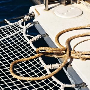 BLOG Weltumsegelung 155 Und jetzt aber flott zum ARC - Start...
