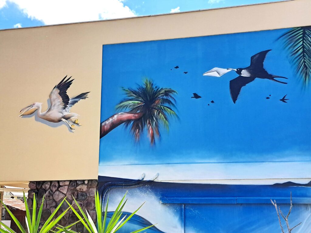 Guadeloupe Streetart Deshaies 37