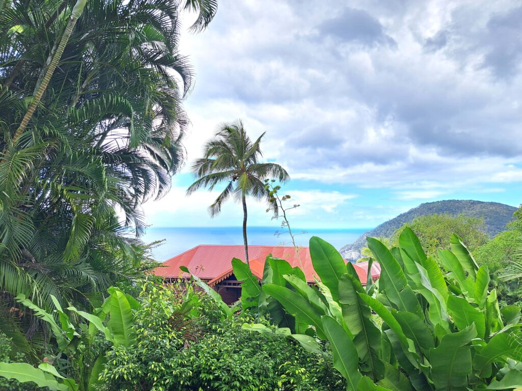 Botanische Garten Deshaies von Guadeloupe 10 Blick vom Jardin Botanique zum Meer