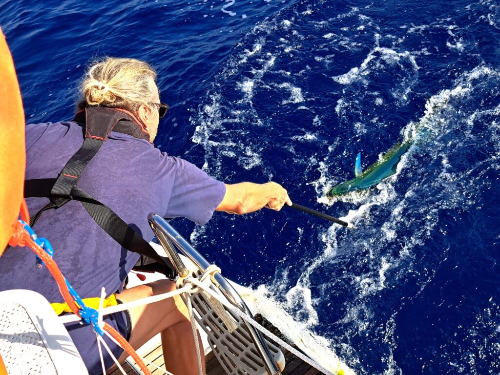 Karibik – Tagebuch – Seite 11 2 Fischfang