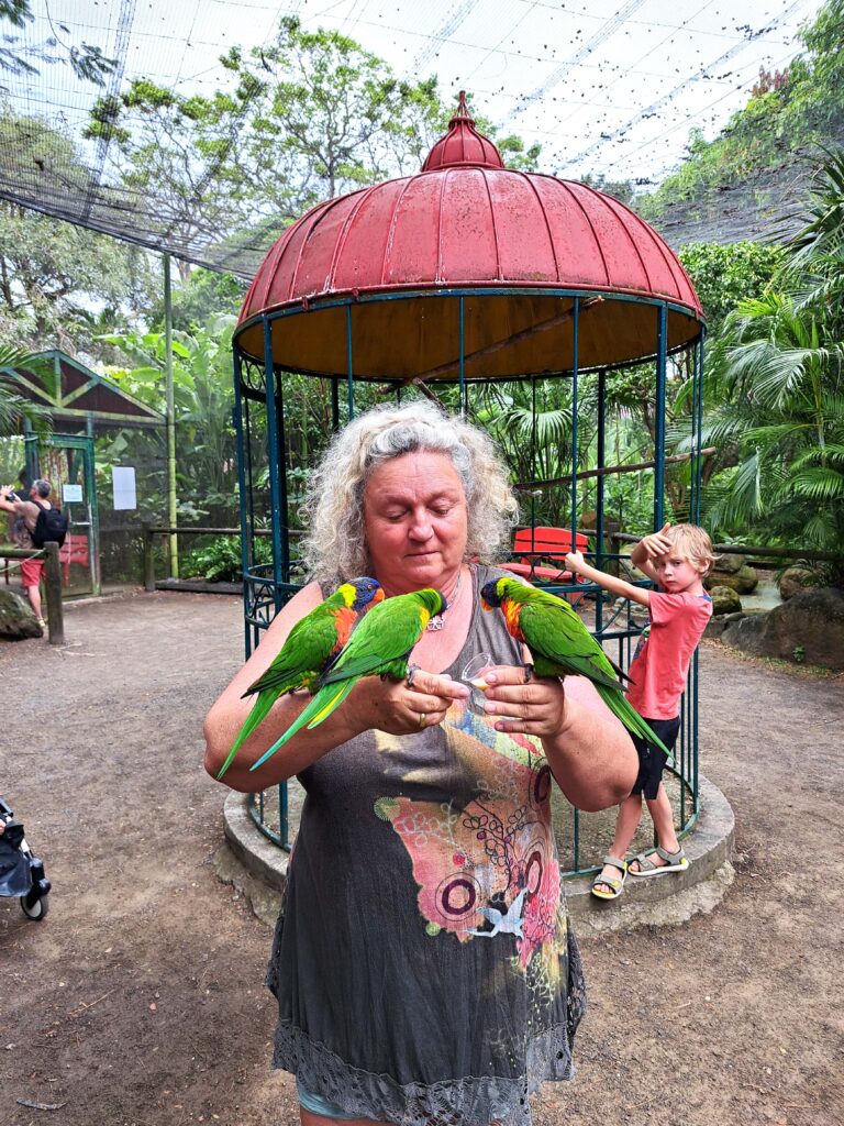 Botanische Garten Deshaies von Guadeloupe 4 Papageienfuetterung Petra