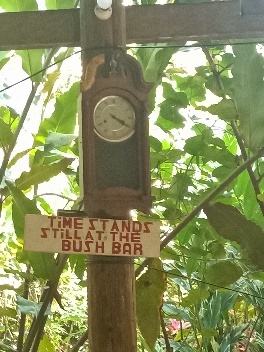 Ein Bild, das draußen, Baum, Uhr, Pflanze enthält.  Automatisch generierte Beschreibung