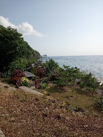 Ein Bild, das draußen, Himmel, Wolke, Pflanze enthält.  Automatisch generierte Beschreibung