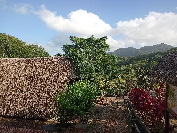 Ein Bild, das draußen, Wolke, Pflanze, Himmel enthält.  Automatisch generierte Beschreibung