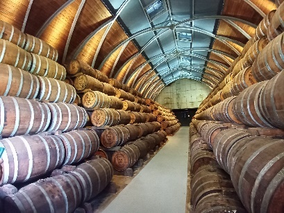 Ein Bild, das Im Haus, Winzerei, Fass, Decke enthält.  Automatisch generierte Beschreibung