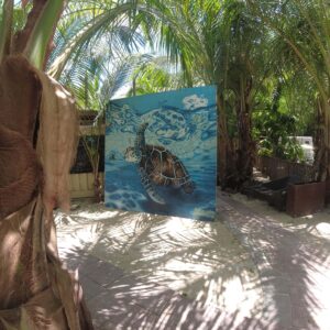 BLOG Weltumsegelung 119 Segelrevier US Virgin Islands (US VIs) - ein Erfahrungsbericht