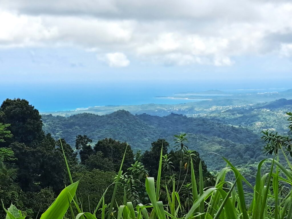 Segelrevier Puerto Rico - ein Erfahrungsbericht 10 Blick zum Meer 1